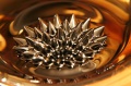Ferrofluid-525.jpg